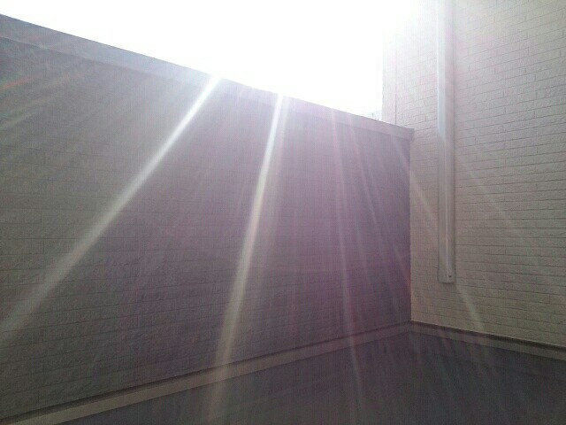 12/20 バルコニー