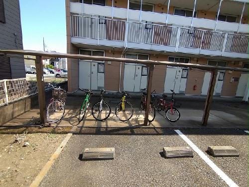 11/15 その他画像