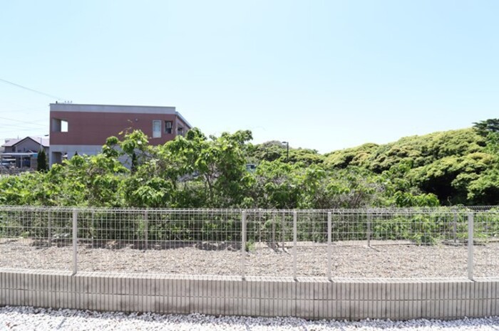 13/20 その他画像