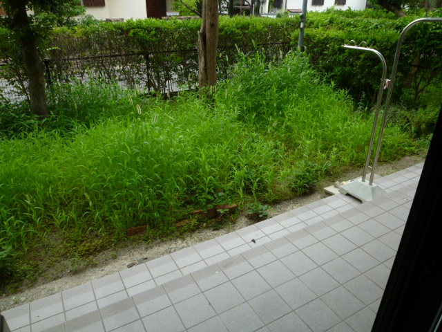 16/29 その他画像