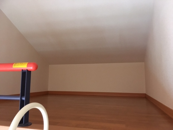 13/19 その他画像