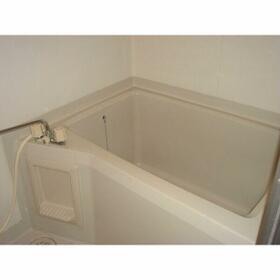 5/11 その他画像