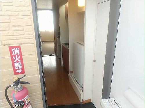 11/14 その他画像