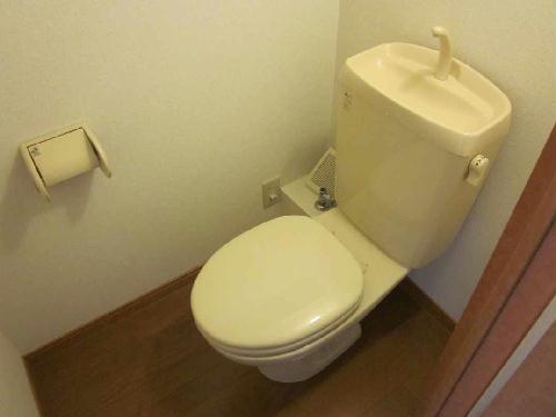 13/14 その他画像