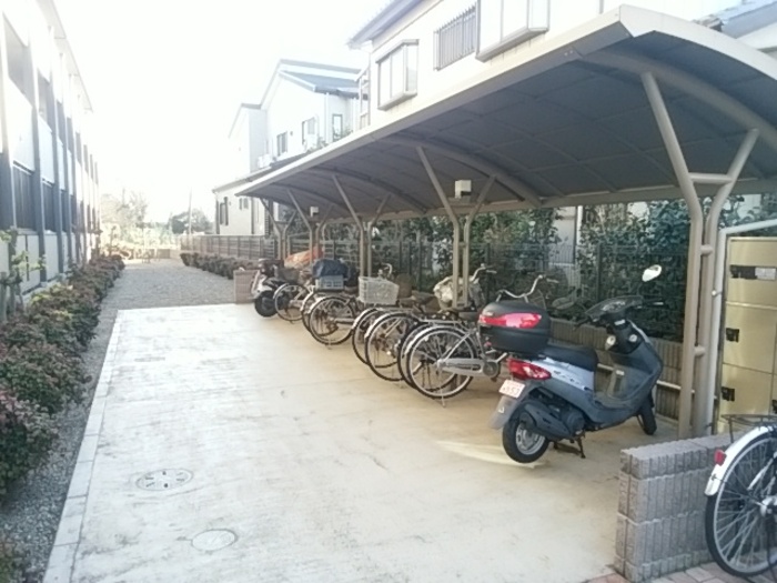 20/20 その他画像