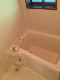 5/16 その他画像