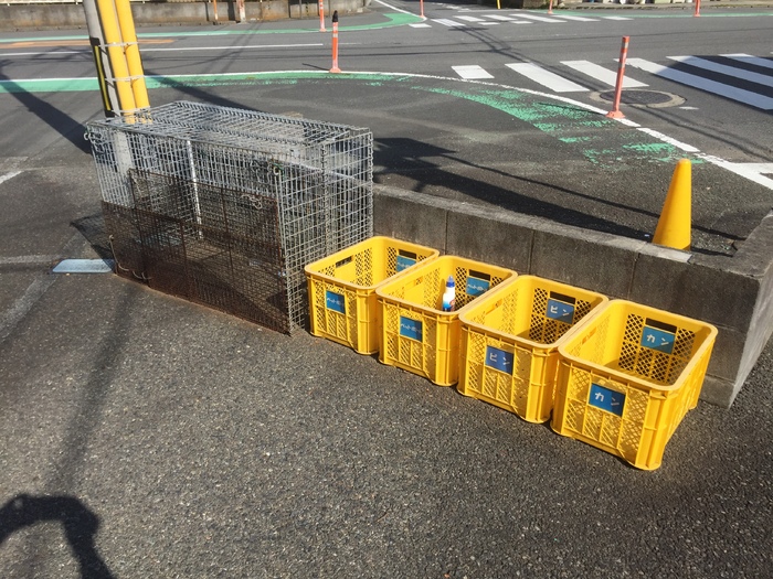 14/20 その他画像