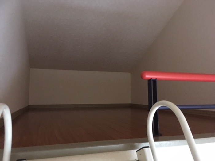 12/19 その他画像