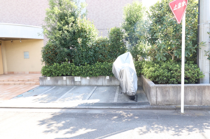 16/19 その他画像