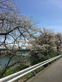 13/25 その他画像