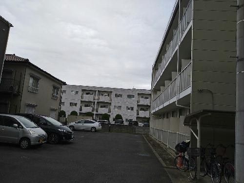 11/14 その他画像