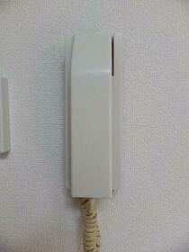 11/11 その他画像