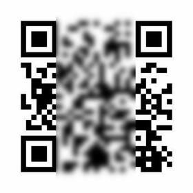 13/13 その他画像