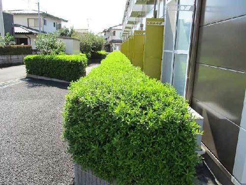 10/20 バルコニー