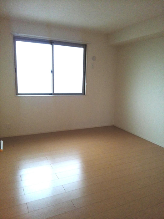 11/16 その他画像