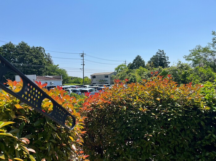 20/20 その他画像