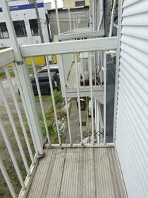 6/15 その他画像