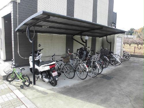 11/20 その他画像