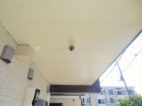 11/20 その他画像