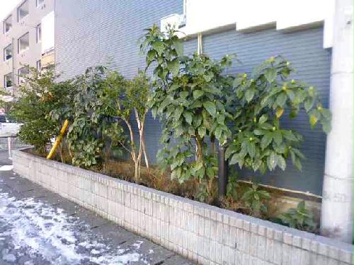 13/21 その他画像