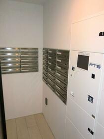 11/17 その他画像