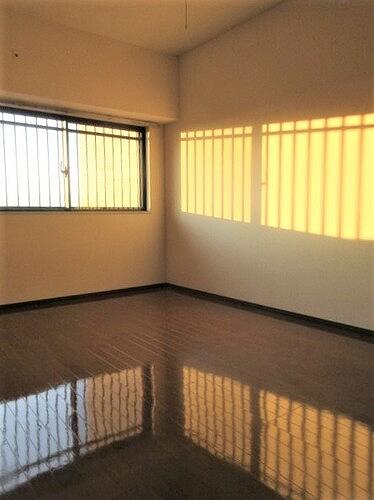 11/11 その他画像