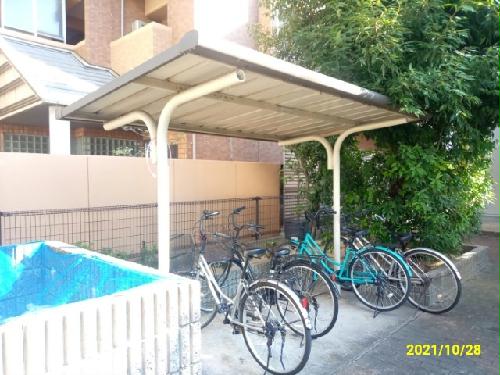 11/16 その他画像