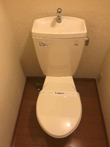 11/20 その他画像