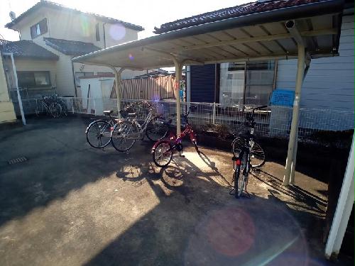 11/20 その他画像