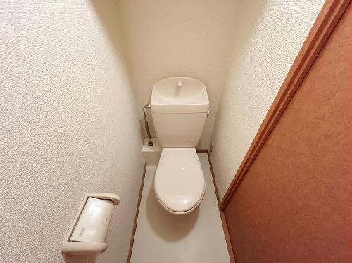 8/14 その他画像