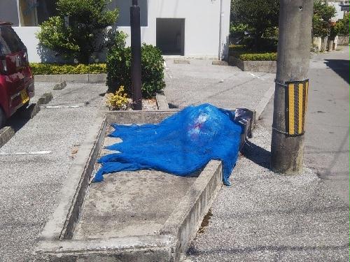 10/14 その他画像