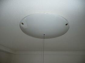 11/11 その他画像