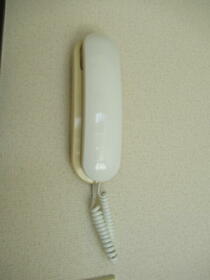 15/22 その他画像