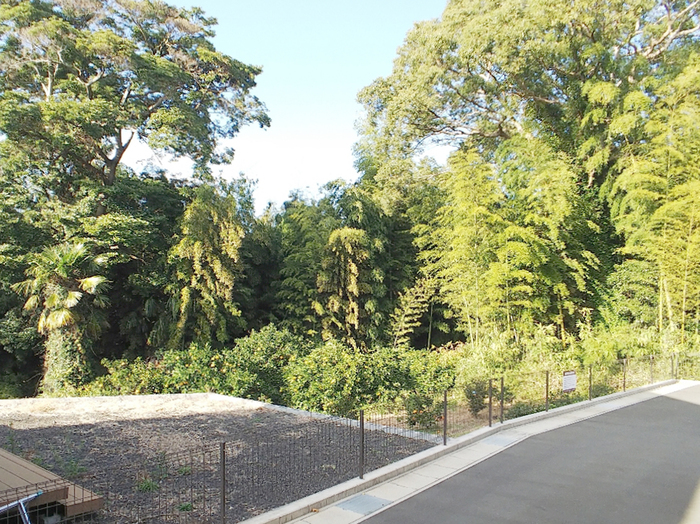 16/23 その他画像