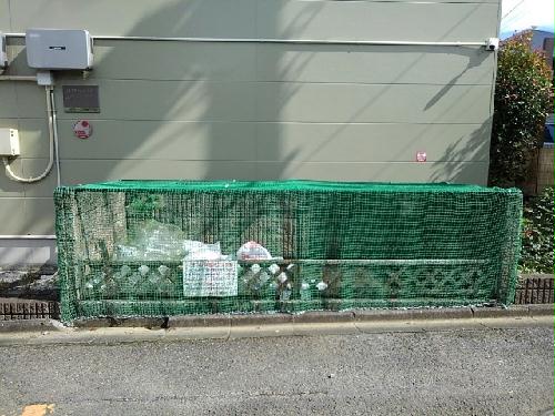 12/16 その他画像