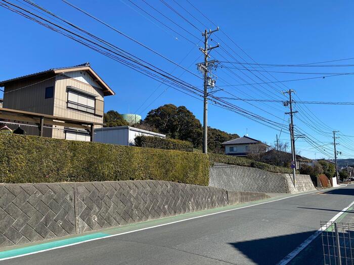 12/19 その他画像