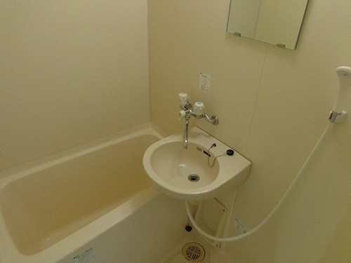 5/11 その他画像