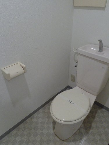 6/11 その他画像