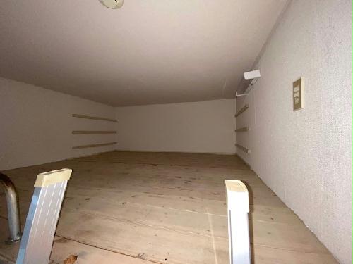 6/15 その他画像