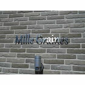 3/16 その他画像