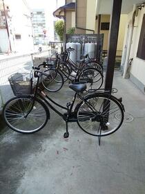 15/19 その他画像