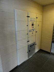 11/11 その他画像