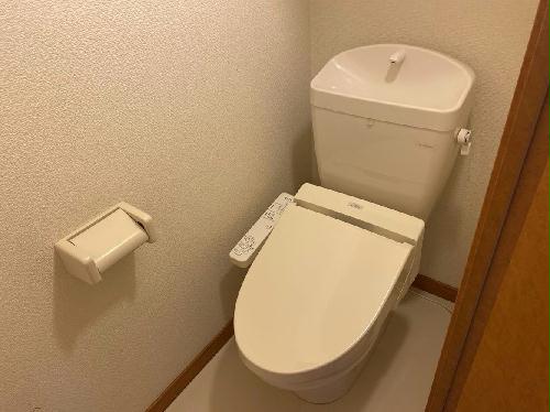 8/21 その他画像