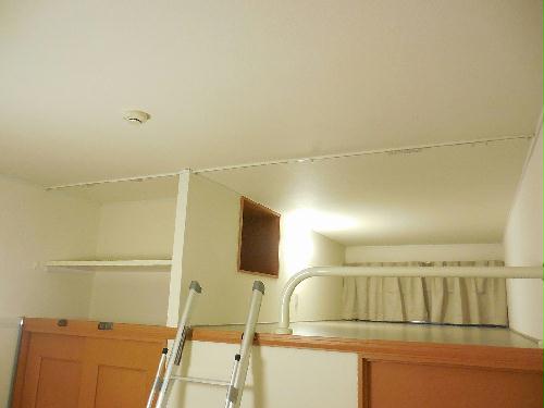 13/17 その他画像