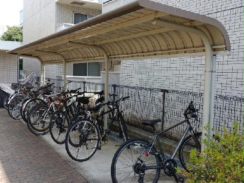 8/19 その他画像