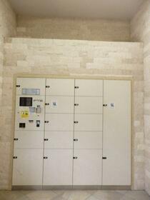 15/16 その他画像