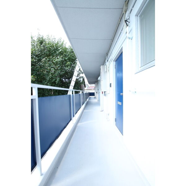 11/15 その他画像