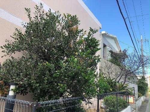 11/15 その他画像