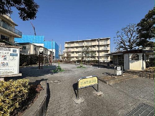 8/18 その他画像