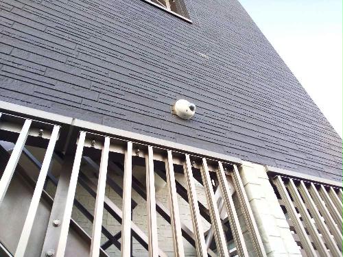 11/25 その他画像